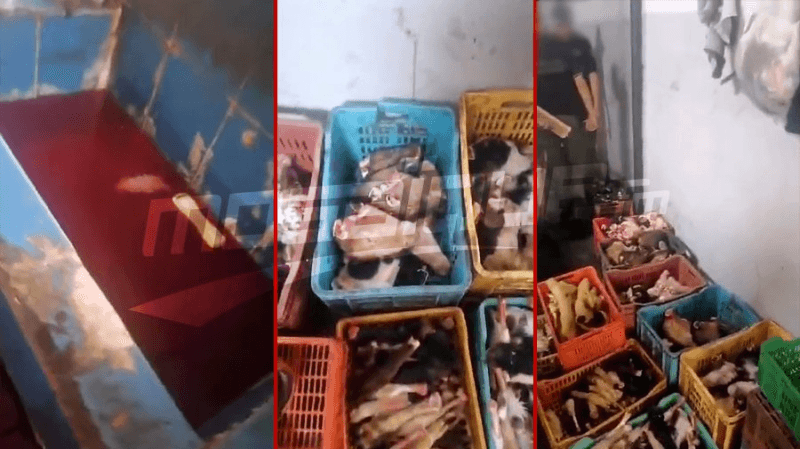 حجز رؤوس وقوائم دواب داخل مستودع عشوائي في العاصمة