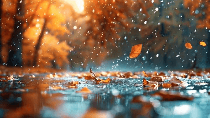 تتواصل إلى السبت.. أمطار غزيرة آخر النهار وأثناء الليل