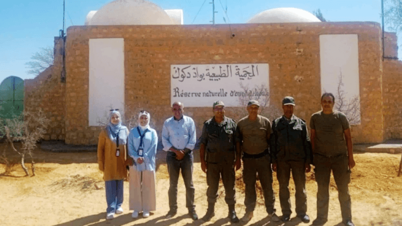 حدائق الجنوب الجيولوجية تتحصل على رمز التصنيف ضمن اليونسكو في أفريل