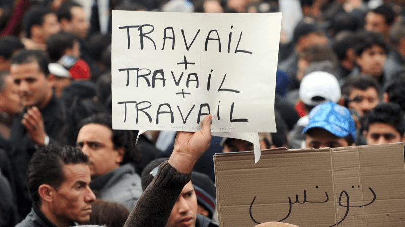 تفاوت جهوي واختصاصي في معدلات البطالة في تونس