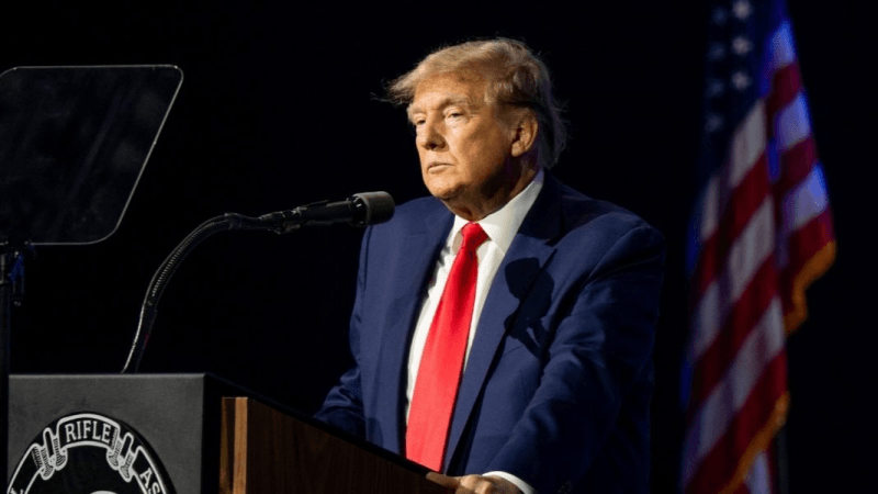 Le plan de Trump pour Gaza: Les réactions internationales