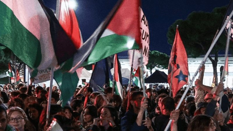 مظاهرات في عدة عواصم تضامنا مع أسطول الصمود العالمي بعد اعتراضه