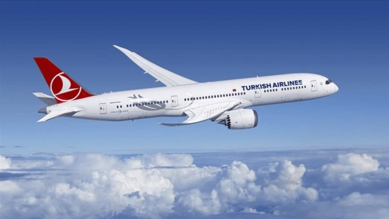 Activistes, dont des Tunisiens, quittent la Palestine en avion turc