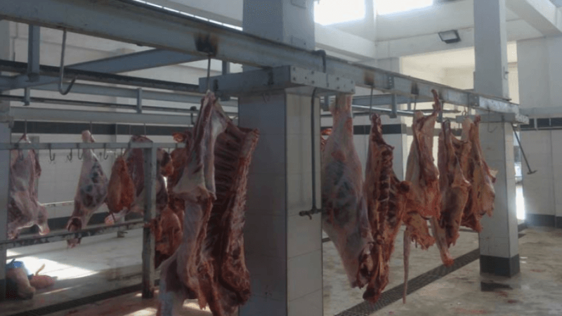 Affaire abbattoir de Sousse:trois ans de prison pour quatre personnes