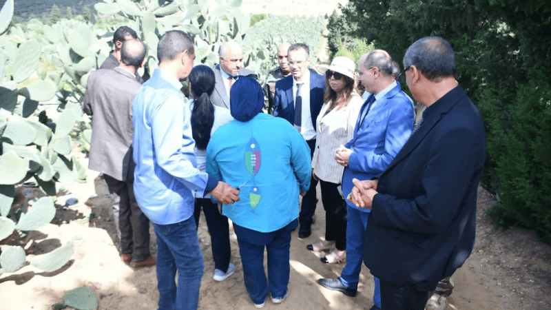 مكافحة الحشرة القرمزية:وزير الفلاحة يدعو لتوحيد الجهود ووضع خطة مُحكمة