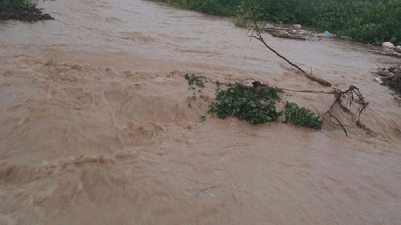 جندوبة..السيول تجرف إمراة و أغنامها بأرياف بوسالم