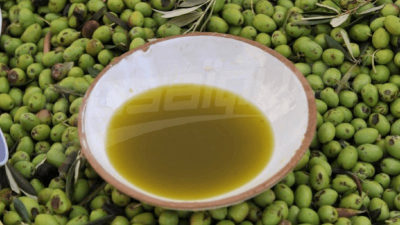 Huile d'olive: La production tunisienne au second rang mondial