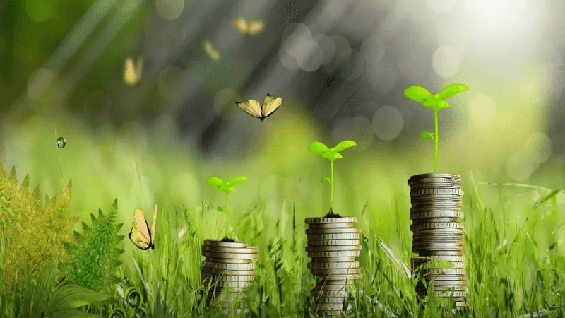 البنك الأوروبي لإعادة الإعمار: برنامج لتمويل الاقتصاد الأخضر في تونس