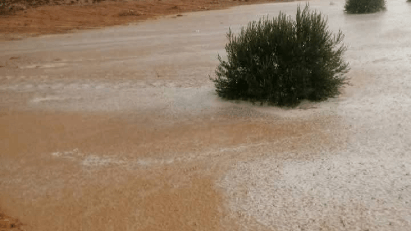 أمطار غزيرة تروي سهول ومراعي البئر الأحمر..ذهيبة والصمار