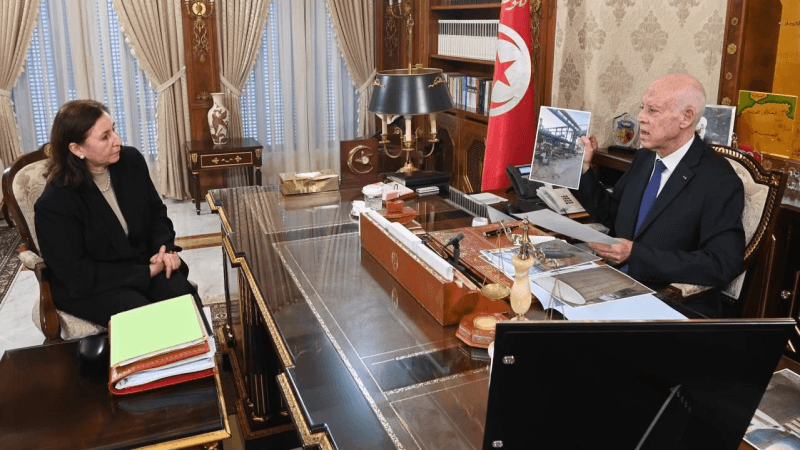 قيس سعيّد: أهالي قابس تظاهروا بوطنية.. ولن نسمح بالمتاجرة بآلامهم