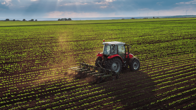 سليانة: برمجة زراعة 200 ألف هكتار زراعات كبرى