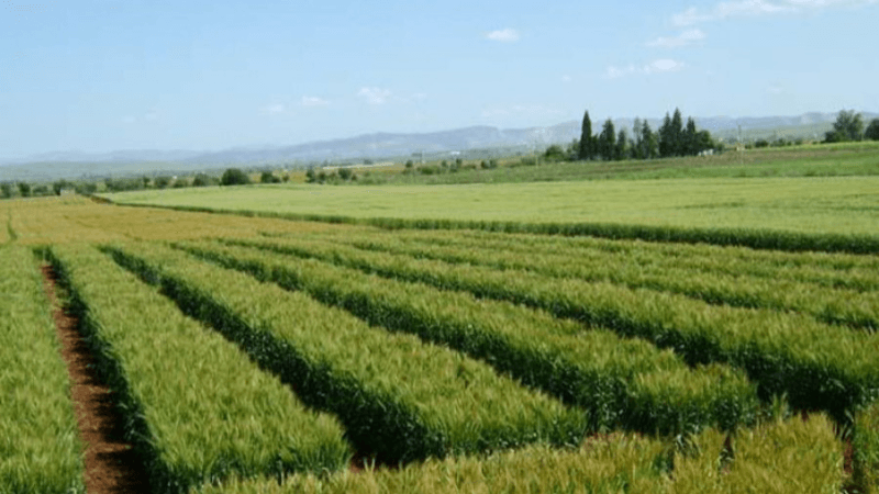 استرجاع الأراضي الدولية: بين جرد رقمي ودعوات للإصلاح وحسن استغلالها