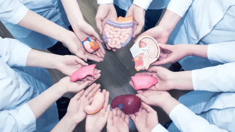 التبرُع بالأعضاء.. هكذا تمّ إنقاذ حياة خمسة مرضى