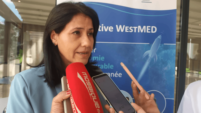 L’économie bleue: Le riche potentiel de la mer...