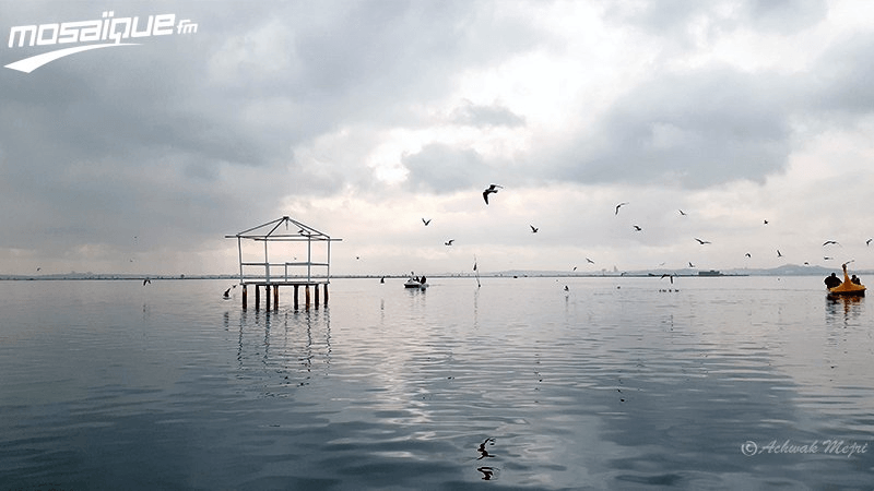 الطقس كثيف السحب ومُمطر .. في هذه المناطق