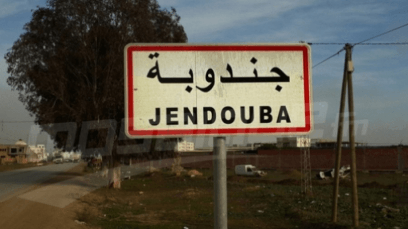 جندوبة: مشروع في التنمية الفلاحية والريفية حول البحيرات والسدود