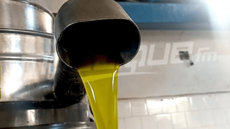 مجلس المنافسة يقرّر إيقاف العمل بالتسعيرة المرجعية لرحي الزيتون