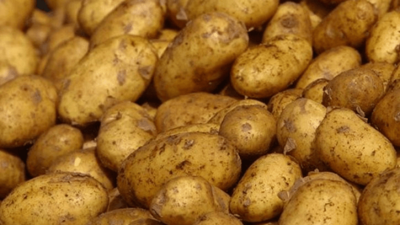 سوسة: حجز أطنان من البطاطا والاحتفاظ بشخص