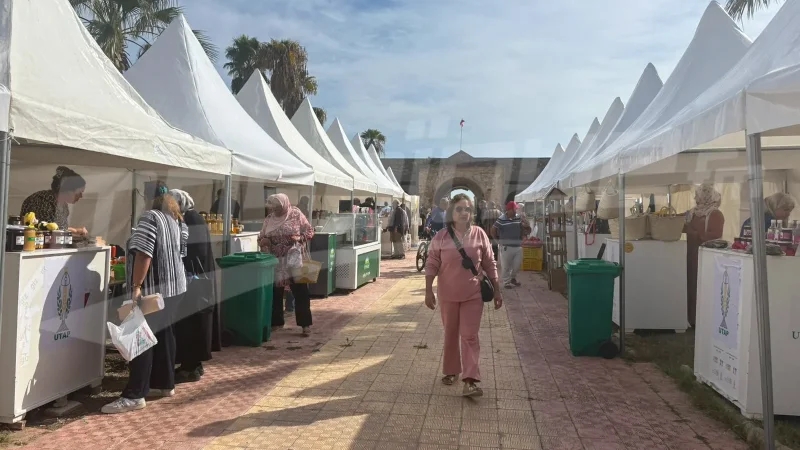 سوق من المنتج إلى المستهلك بحلق الوادي.. دعم للفلاح وأسعار منصفة