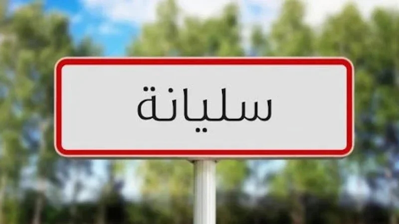 سليانة: النظر في قرارات إخلاء 16 وضعية تصرف في أراضي دولية