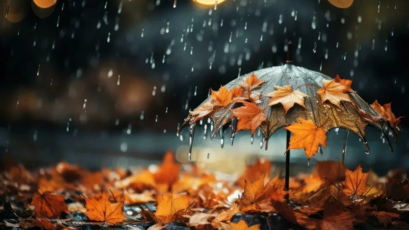 الجمعة: انخفاض في درجات الحرارة وأمطار متفرقة