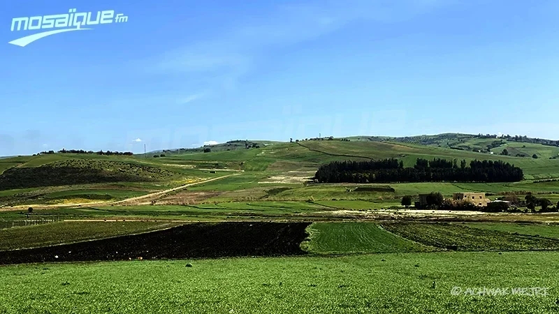 حالة الطقس في تونس خلال نهاية الأسبوع