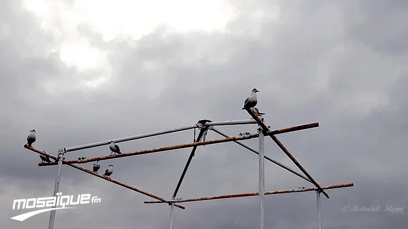 طقس السبت 8 نوفمبر 2025