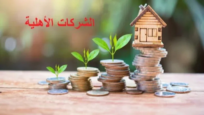 ضبط نسب الفائدة الموظفة على قروض الشركات الأهلية
