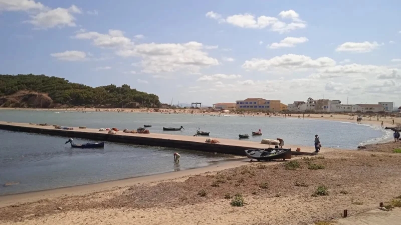 طبرقة: الصيد البحري يُواجه صعوبات والجهود متواصلة لتجاوزها