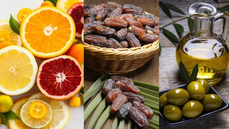 وزير التّجارة: تونس تُحقّق صابة قياسية في زيت الزيتون والتمور والقوارص