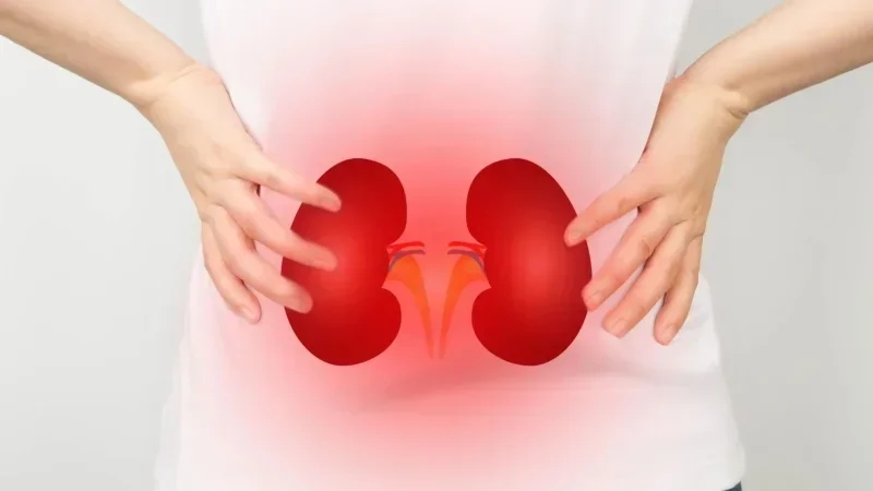 Maladies rénales  : 9 % de la population concernée