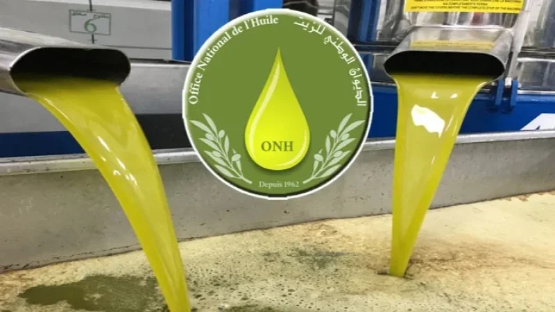 ديوان الزيت: قبول زيت الزيتون من صغار الفلاحين بداية من 17 نوفمبر