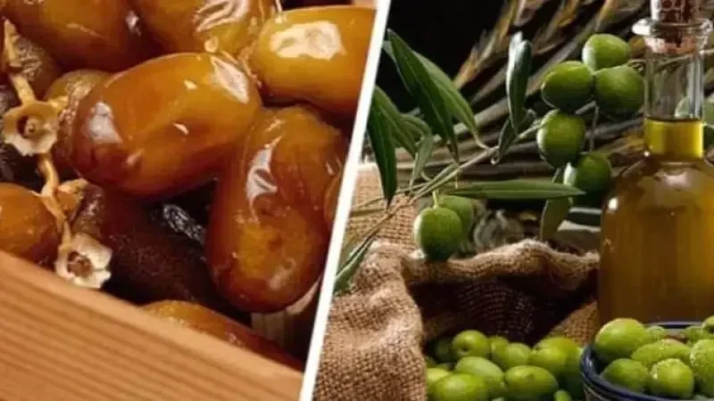 مهمة وزارة الفلاحة.. تدعيم التدخّلات لفائدة قطاع الزياتين والتمور