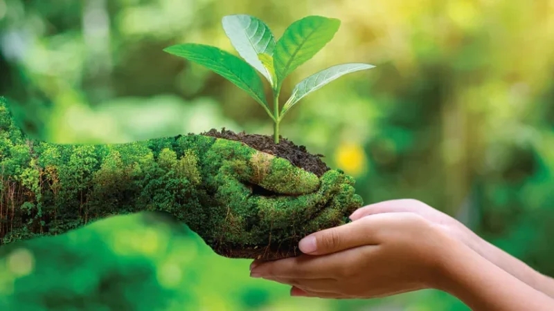 مُؤتمر 'كوب 30': تونس تُرفّع من أهدافها المناخية في أفق سنة 2035