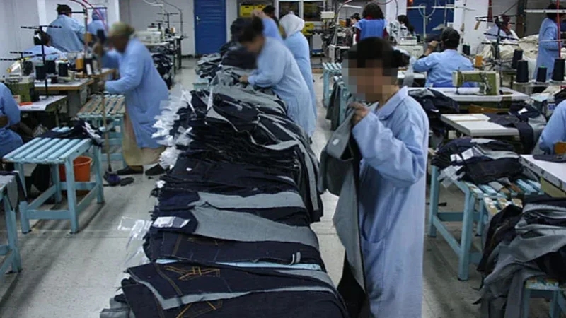 وزيرة الصناعة: صادرات تونس من النسيج ستتجاوز 9 مليار دينار موفى السنة