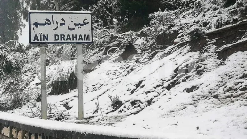 Jendouba : Chutes de neige sur les hauteurs