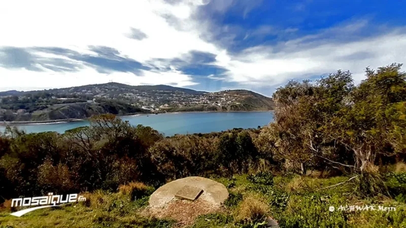 طقس الإثنين 24 نوفمبر 2025