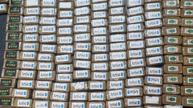 سوسة: تفكيك شبكة لترويج المخدّرات وحجز أكثر من 20 كلغ 'زطلة'