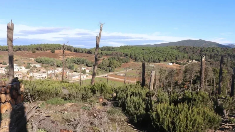 Nouvelle zone touristique à Aïn Draham