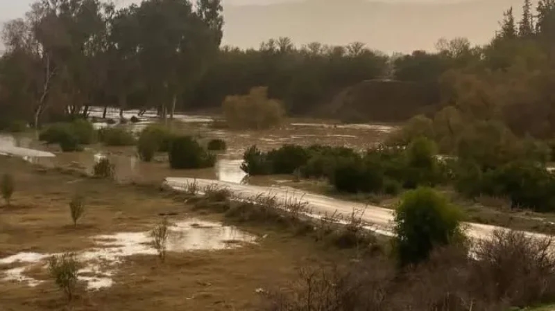 جندوبة: انقطاع حركة المرور بين وادي مليز وعدة مناطق بسبب الأمطار