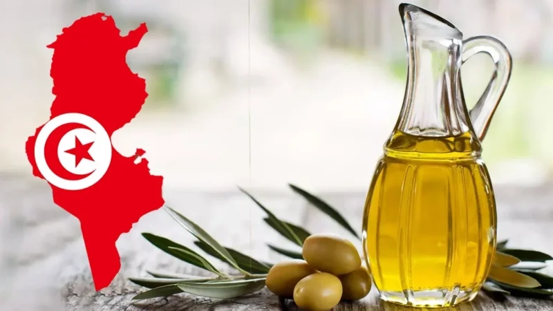مجموعة تركية تُبدي استعادها للاستثمار في تونس في مجال زيت الزيتون