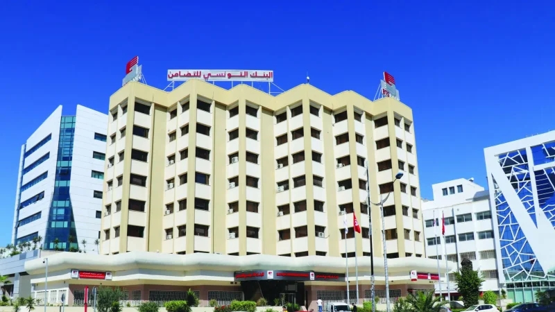 بنك التضامن: خطوط تمويل مؤسسات صغرى ومتوسطة بعدة قطاعات لسنوات مقبلة