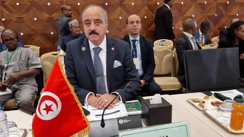 النفطي: ضرورة بناء أمن إفريقي قائم على التعاون والسيادة المشتركة