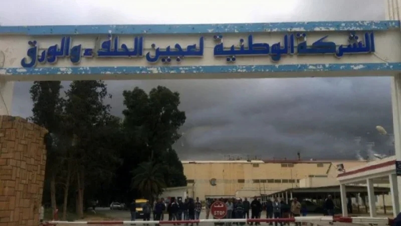 فصل إضافي في قانون المالية لدعم شركة عجين الحلفاء والورق بالقصرين