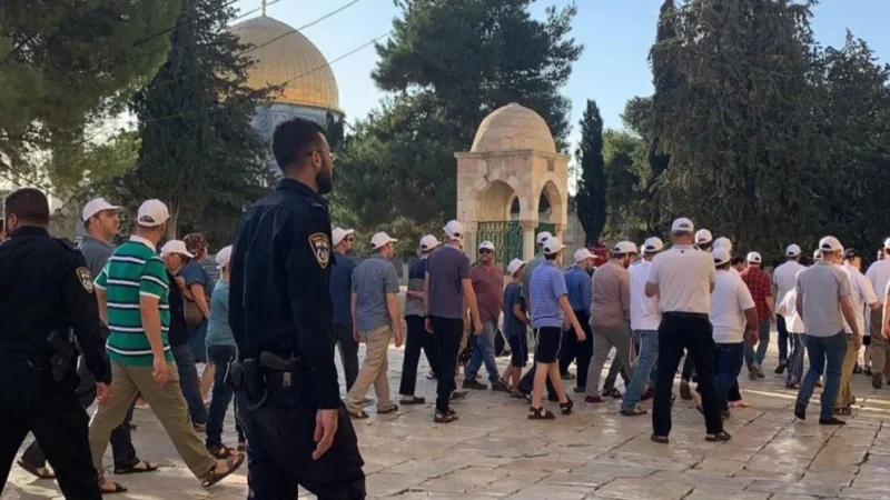 مئات المستوطنين يقتحمون باحات المسجد الأقصى