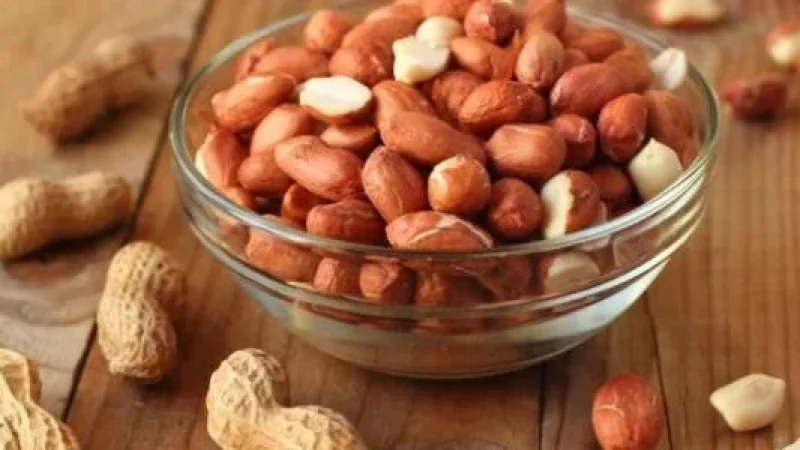 دراسة حديثة: 'الكاكاوية' تُعزّز الذاكرة وتدفّق الدم في الدماغ