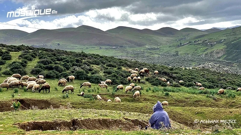 طقس الخميس 4 ديسمبر 2025