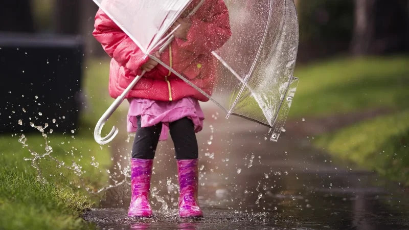 طقس الخميس والجمعة: رعد وبَرَد وأمطار غزيرة بهذه الولايات