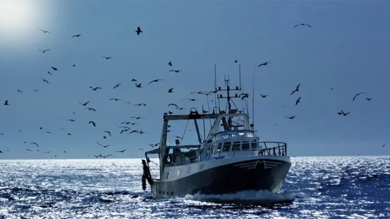 البرلمان يُوسّع مجال تدخل صندوق تمويل الراحة البيولوجية للبحارة