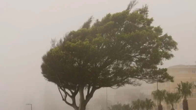 الجمعة: رياح قوية وانخفاض في درجات الحرارة